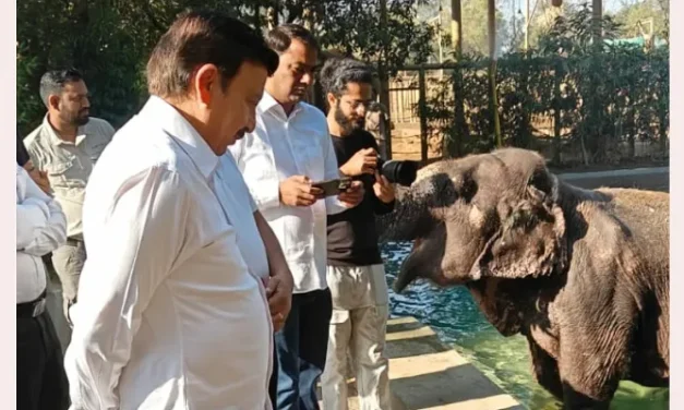 कैबिनेट मंत्री राव नरबीर सिंह ने गुजरात के जामनगर स्थित वंतारा वन्यजीव रेस्क्यू सेंटर का किया दौरा