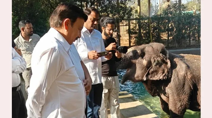 कैबिनेट मंत्री राव नरबीर सिंह ने गुजरात के जामनगर स्थित वंतारा वन्यजीव रेस्क्यू सेंटर का किया दौरा