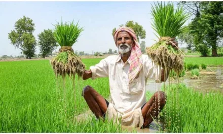 Haryana News: कृषि सुधारों पर उच्चाधिकार प्राप्त समिति ने केरल राज्य में कृषि क्षेत्र में सर्वोत्तम प्रथाओं की करी समीक्षा