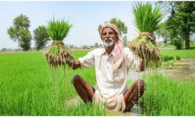 Haryana News: कृषि सुधारों पर उच्चाधिकार प्राप्त समिति ने केरल राज्य में कृषि क्षेत्र में सर्वोत्तम प्रथाओं की करी समीक्षा