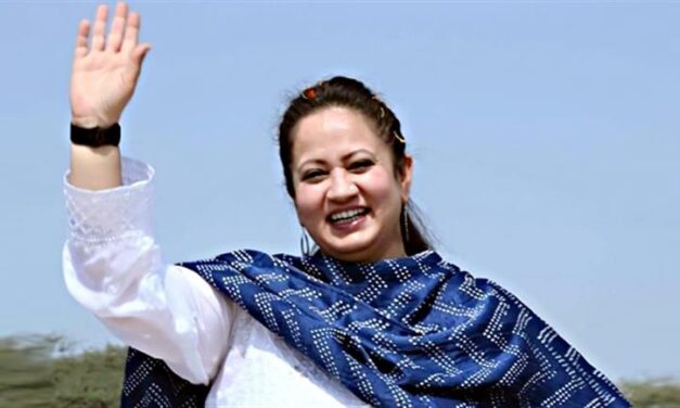 स्वास्थ्य मंत्री कुमारी आरती सिंह राव ने डीजीएचएस और झज्जर, गुरुग्राम और सोनीपत के सीएमओ के साथ समीक्षा बैठक की